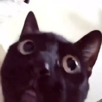 4ymnoi